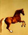 George Stubbs - Whistlejacket